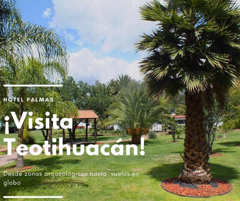 Hotel Palmas Teotihuacan 圣胡安特奥蒂瓦坎 外观 照片