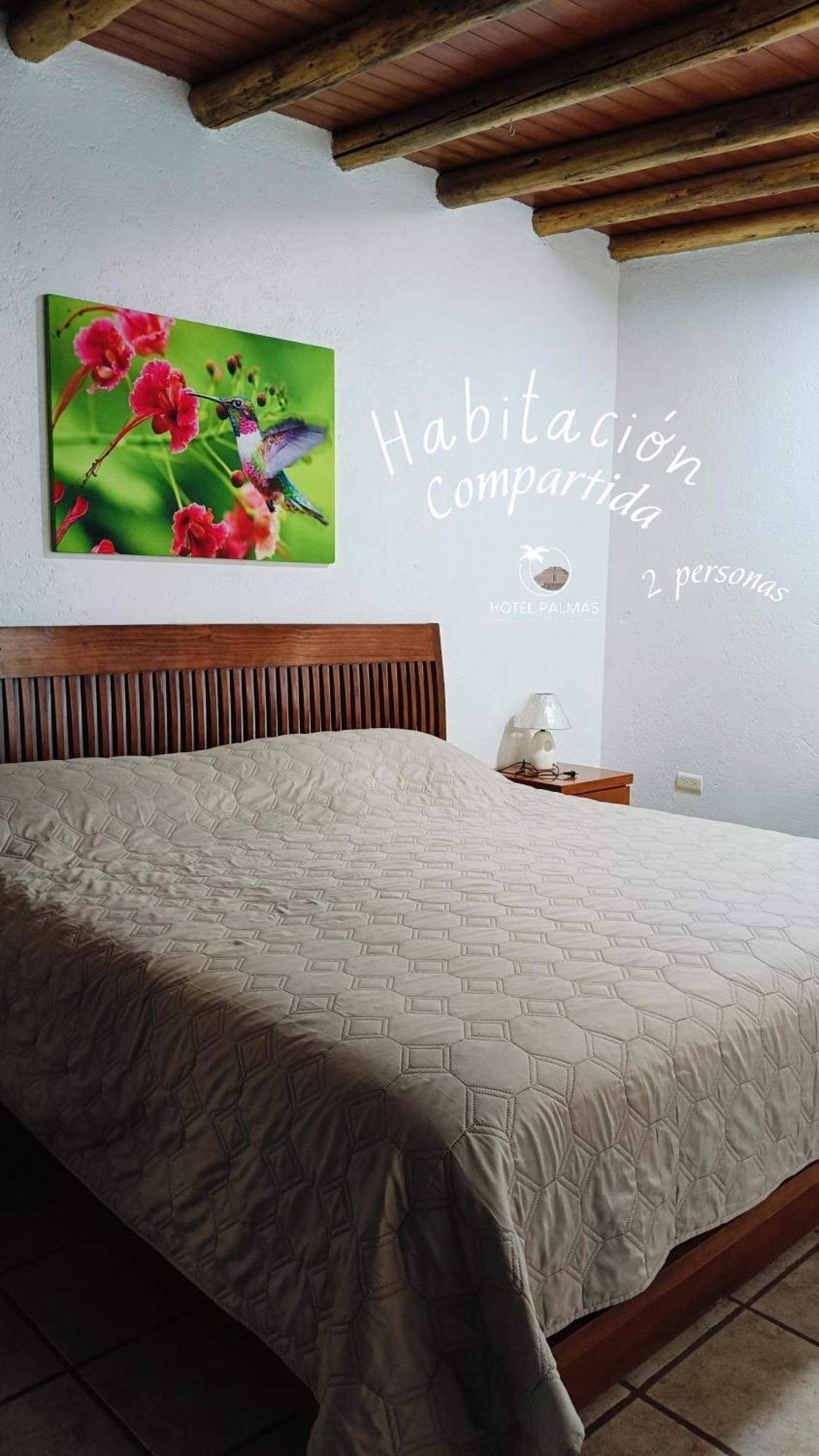 Hotel Palmas Teotihuacan 圣胡安特奥蒂瓦坎 外观 照片