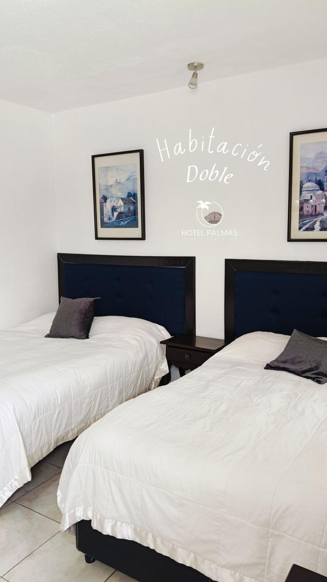 Hotel Palmas Teotihuacan 圣胡安特奥蒂瓦坎 外观 照片